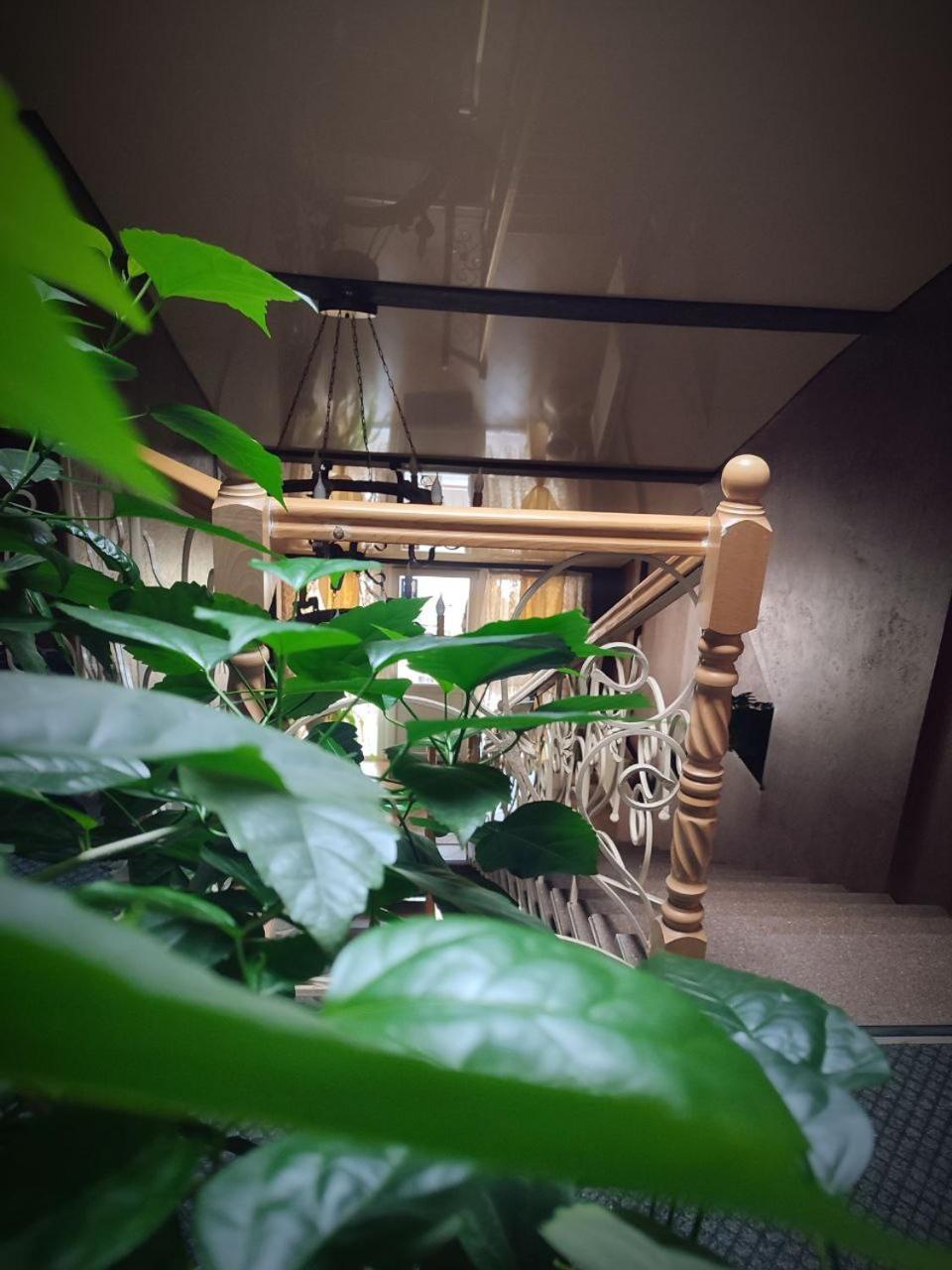 Diamond De Luxe Apartment Kolomyia Bagian luar foto