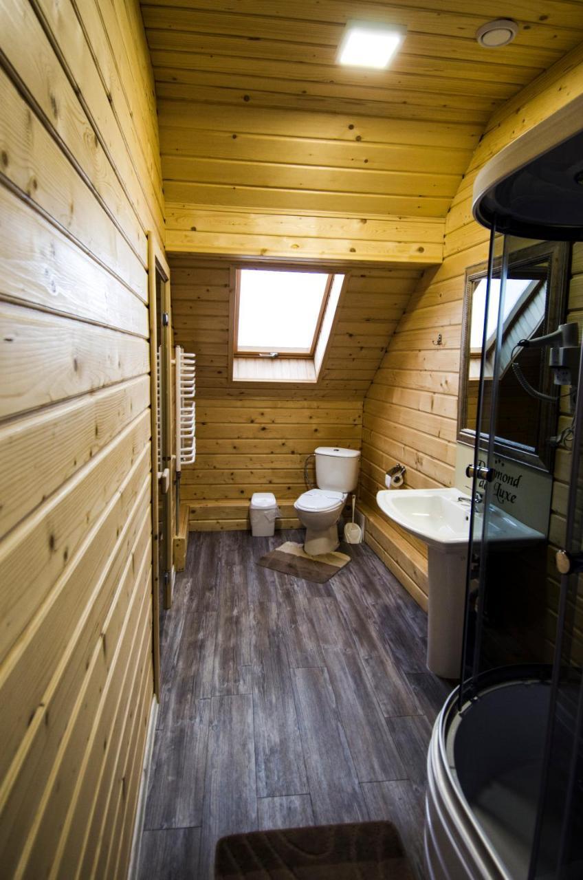 Diamond De Luxe Apartment Kolomyia Bagian luar foto